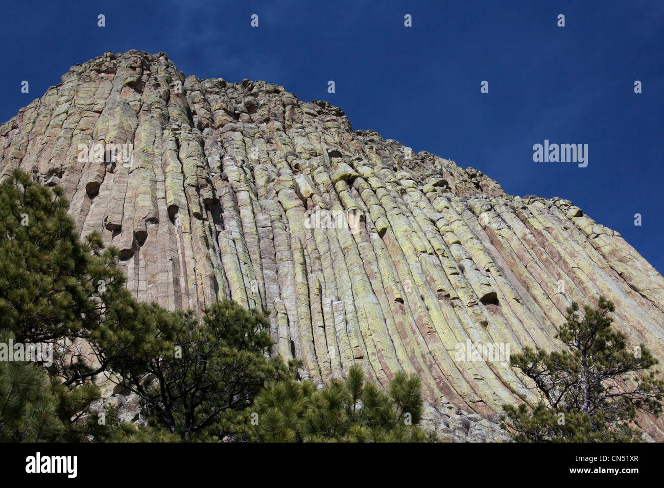 Devils Tower Foto Stock