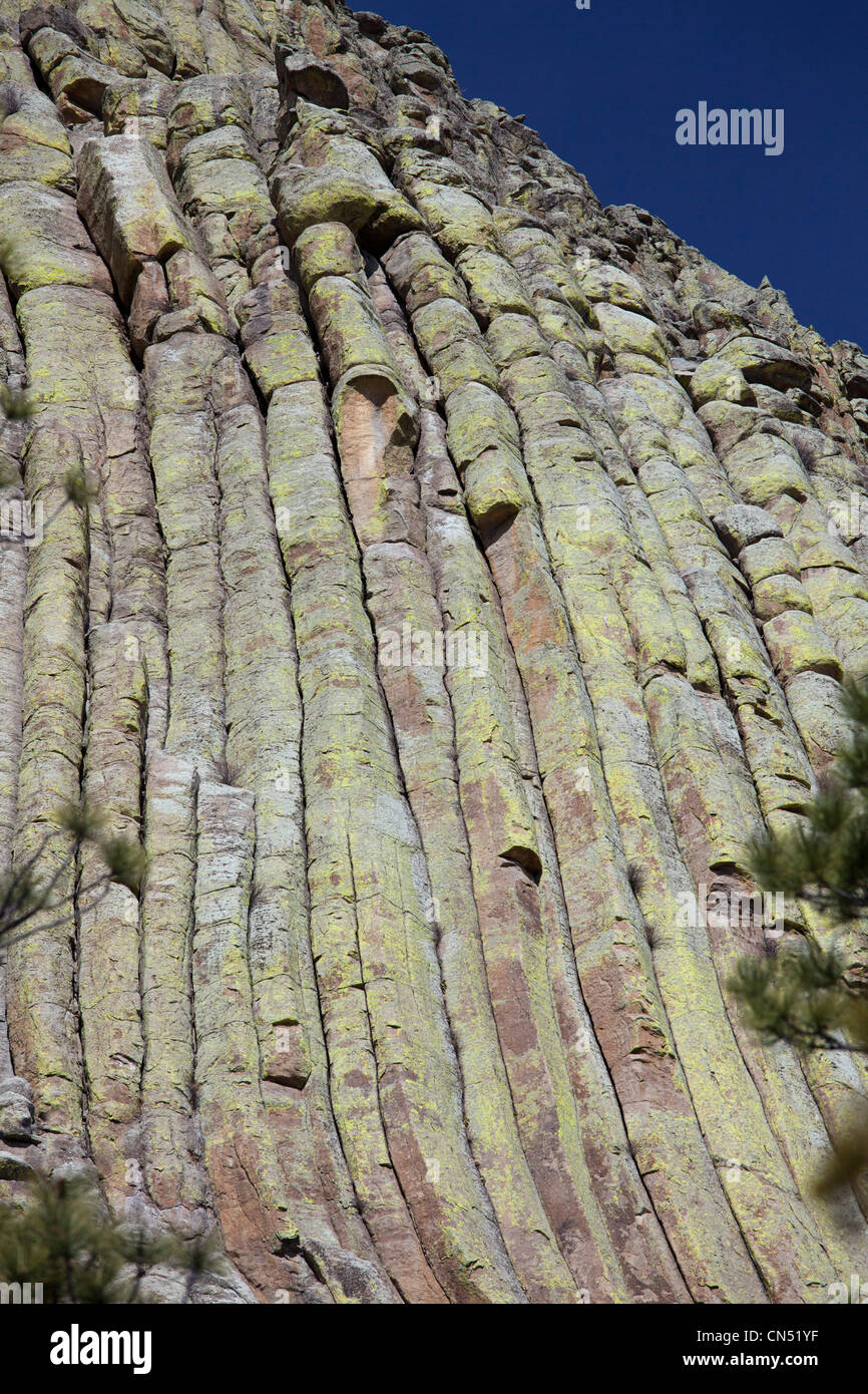 Devils Tower Foto Stock