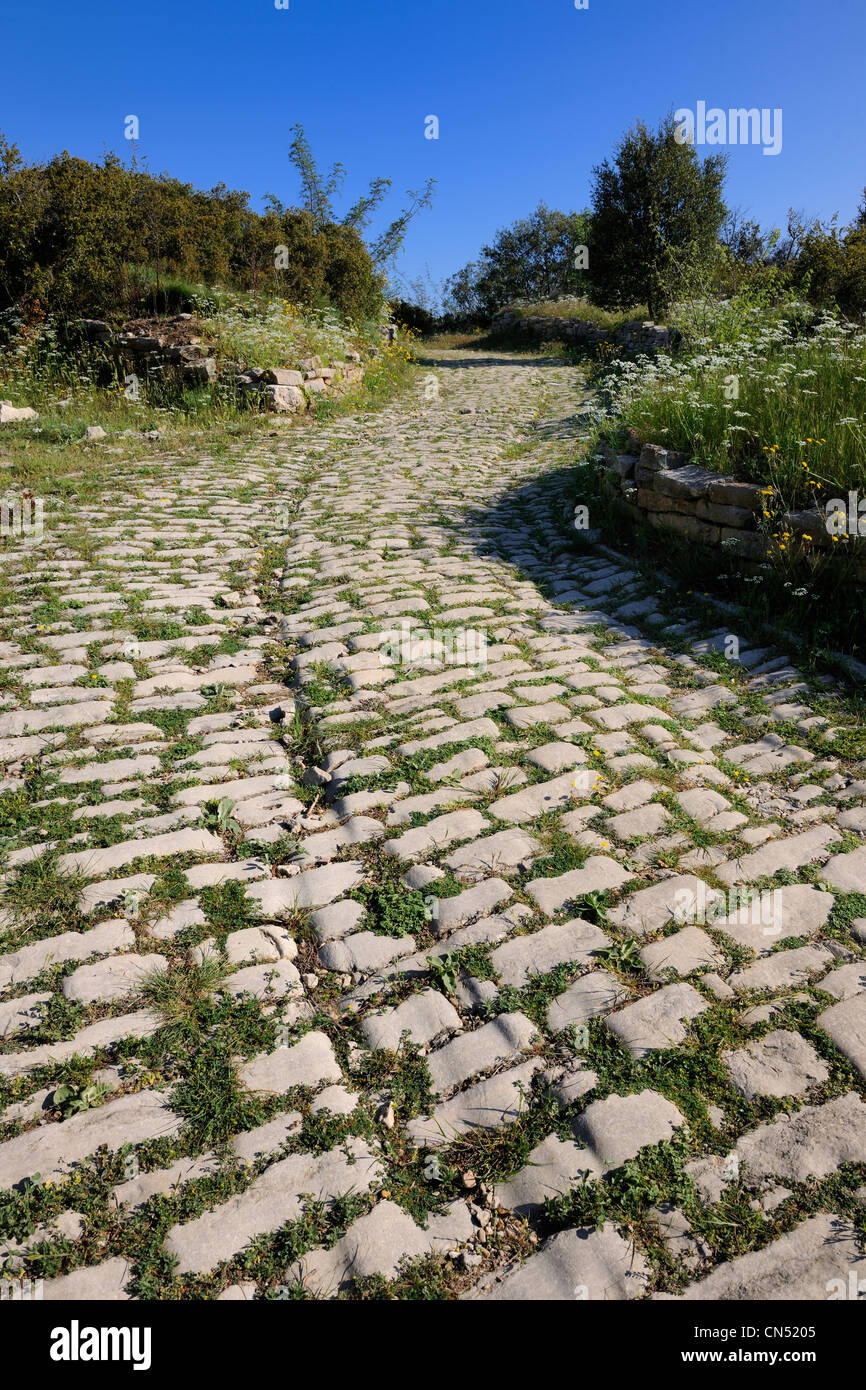 Francia, Herault, vicino a Lunel, Oppidum d Ambrussum è sulla Via Domitia, strade pavimentate usurata dal passaggio dei carri Foto Stock