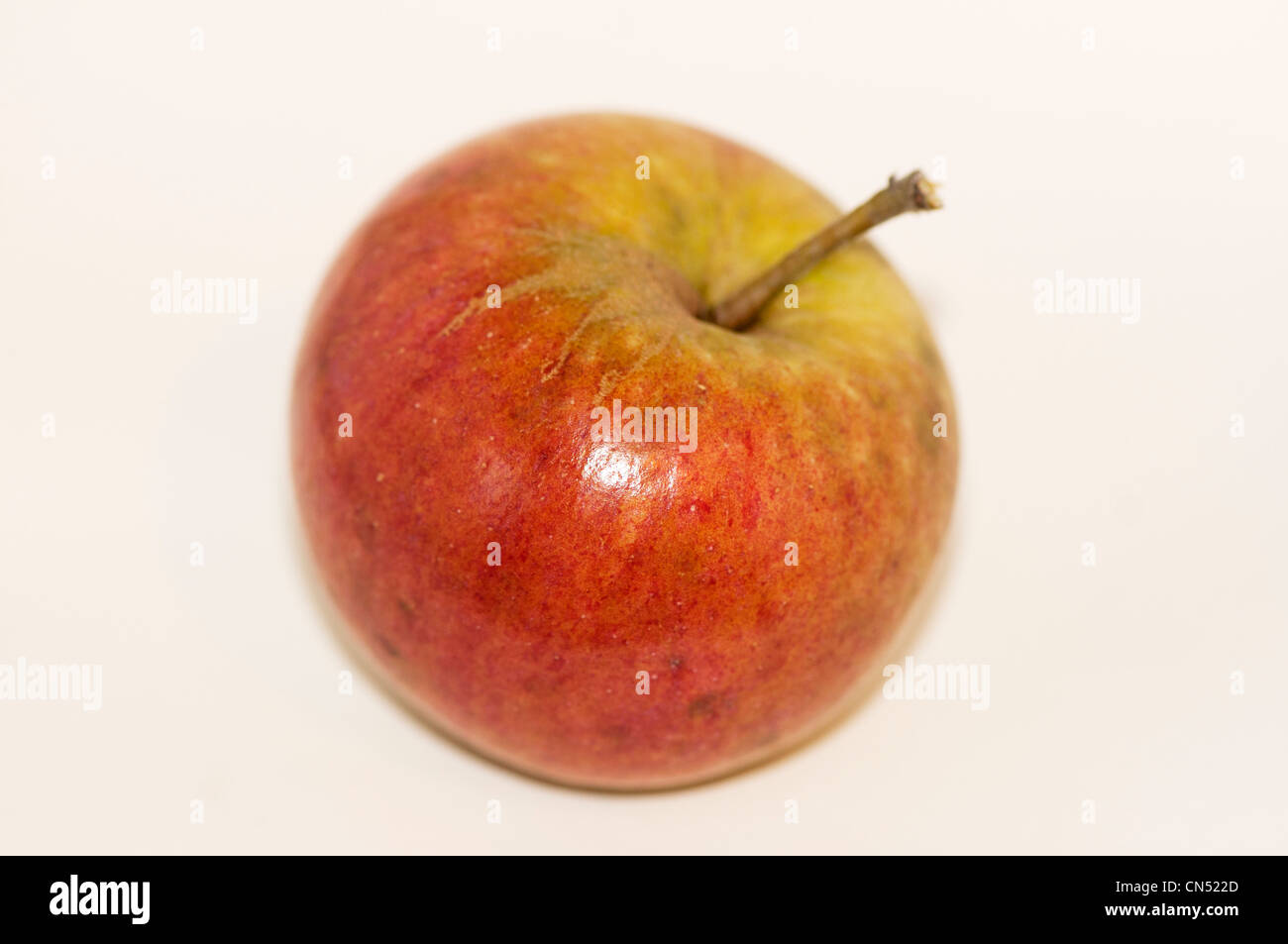 Apple cultivar, Cox's Orange Pippin Foto Stock