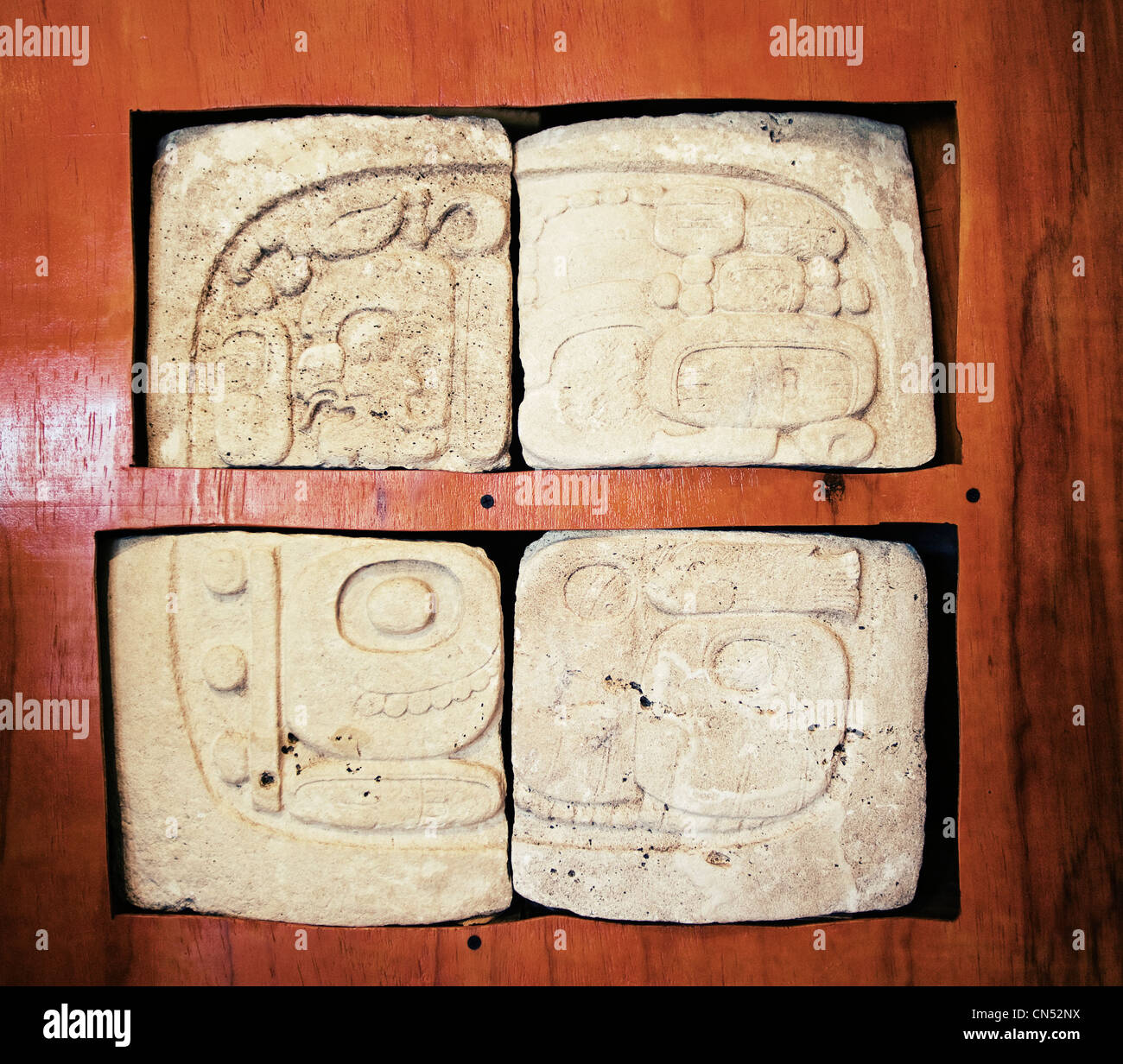 Una stele Maya sul display a livello regionale il museo di archeologia di Dolores, Peten; Guatemala. Foto Stock