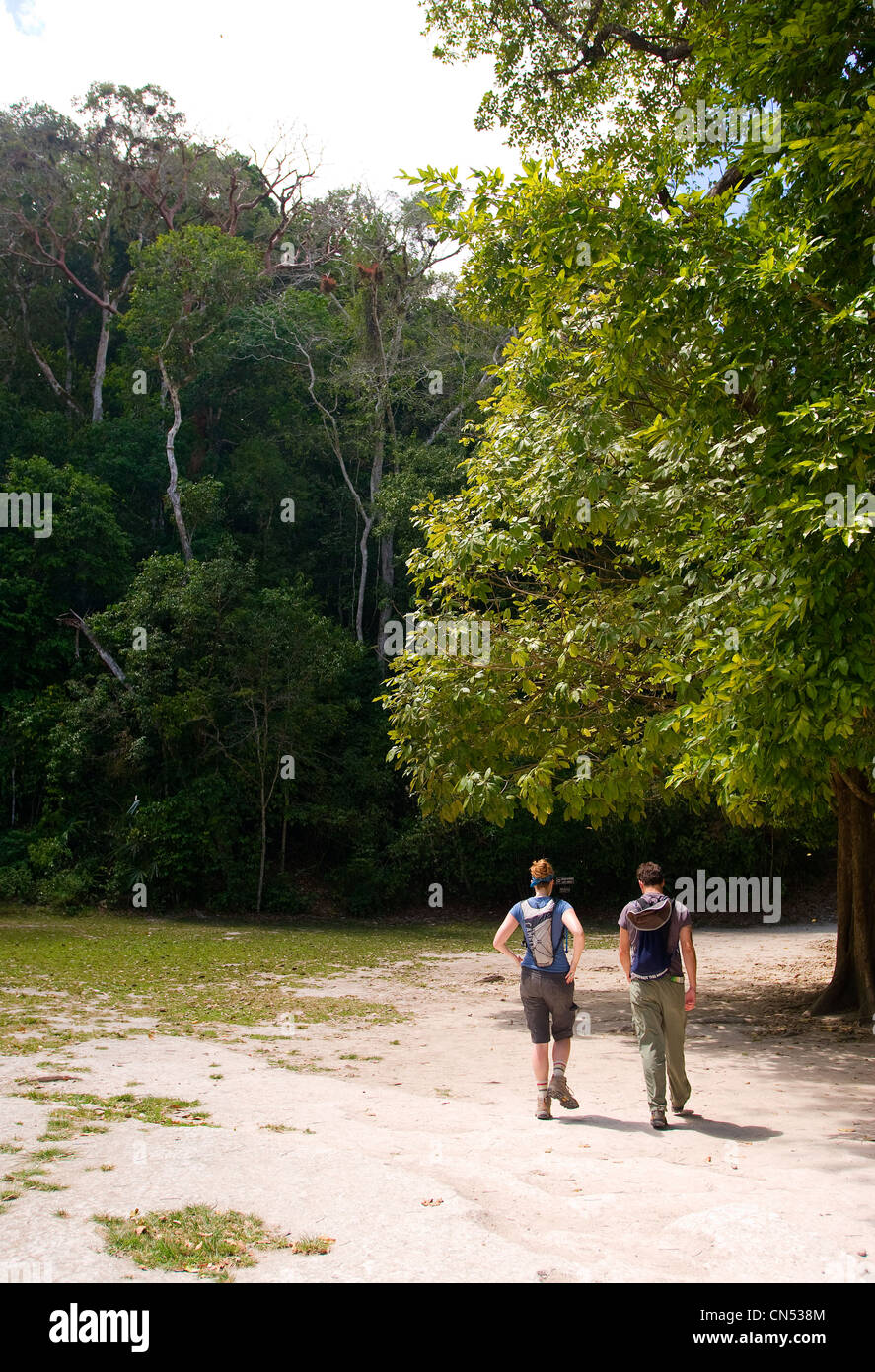 I viaggiatori esplorare i sentieri nella giungla del Parco Nazionale di Tikal. Foto Stock
