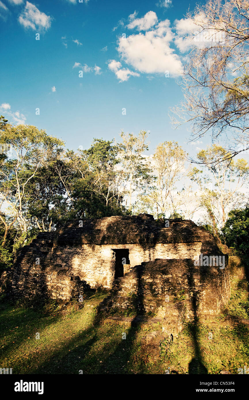 Una piramide Maya di Uaxactun. Foto Stock