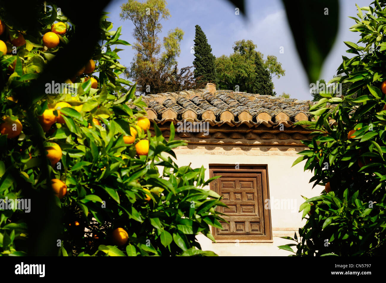 Spagna, Andalusia Granada, Alhambra Nasrid Palace, classificato come patrimonio mondiale dall UNESCO, Giardini Generalife Foto Stock