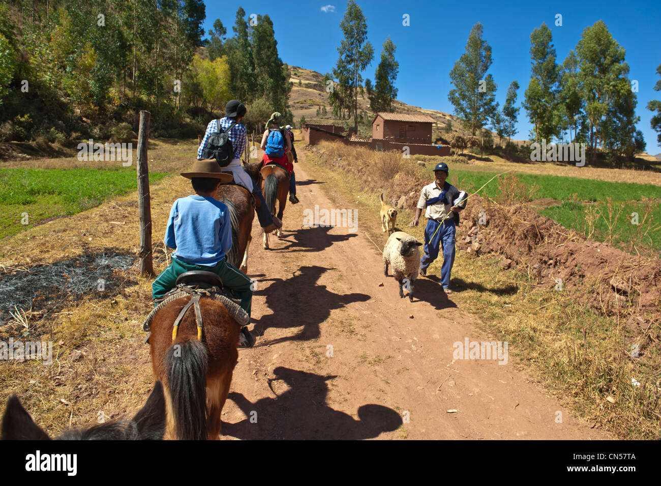 Il Perù, provincia di Cuzco, Huasao, equitazione nelle Ande Foto Stock