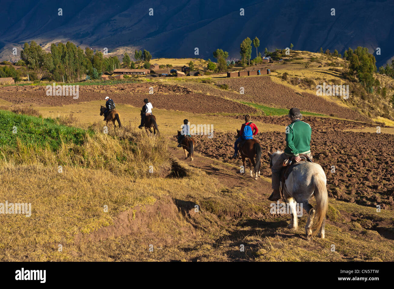 Il Perù, provincia di Cuzco, Huasao, trekking a cavallo nelle Ande Foto Stock