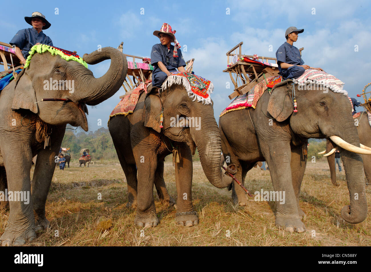Laos, Sainyabuli Provincia, Hongsa, elefante Festival, la preparazione per la processione degli elefanti Foto Stock