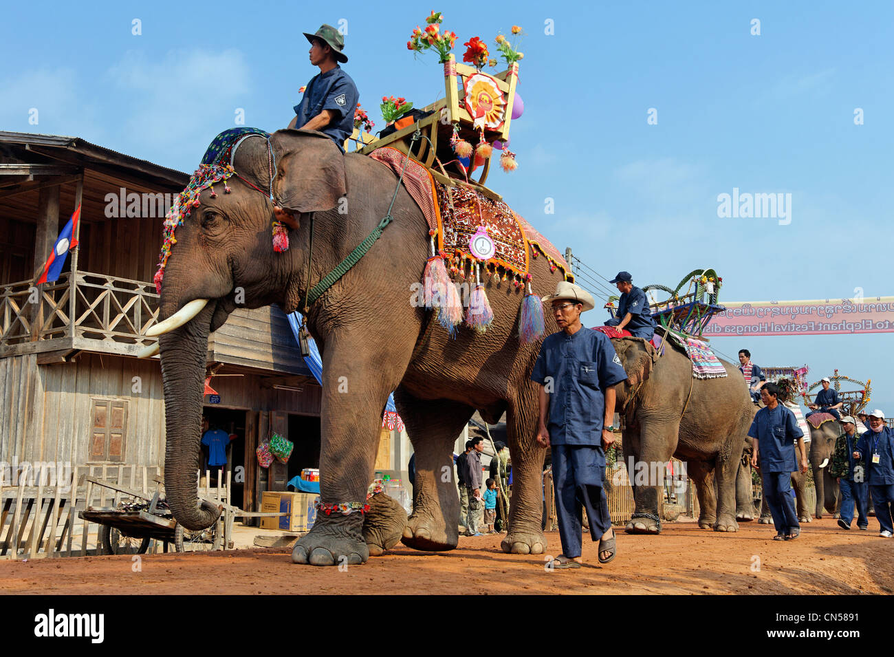 Laos, Sainyabuli Provincia, Hongsa, Festival di elefante, elefante processione verso la pagoda per l elezione delle più belle Foto Stock