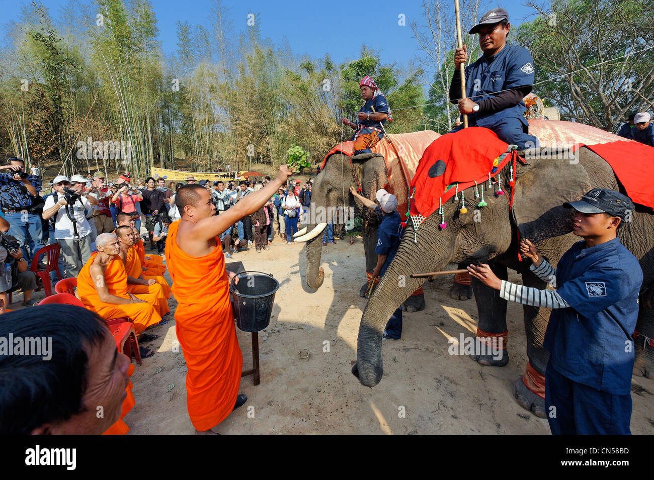 Laos, Sainyabuli Provincia, Hongsa, Festival di elefante, benedizione degli elefanti da monaci Foto Stock