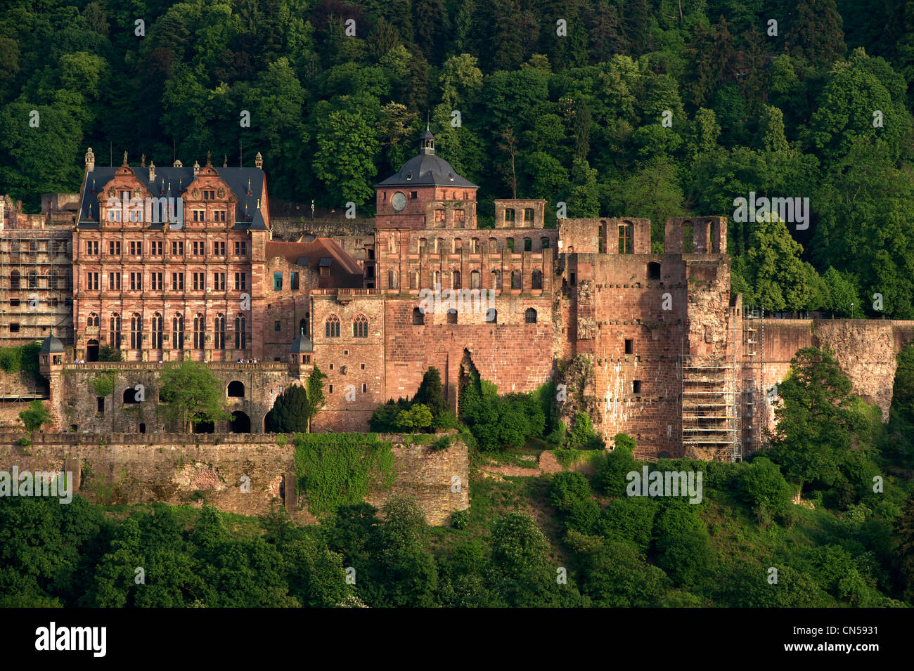 Germania, Baden Württemberg, castello di Heidelberg Foto Stock