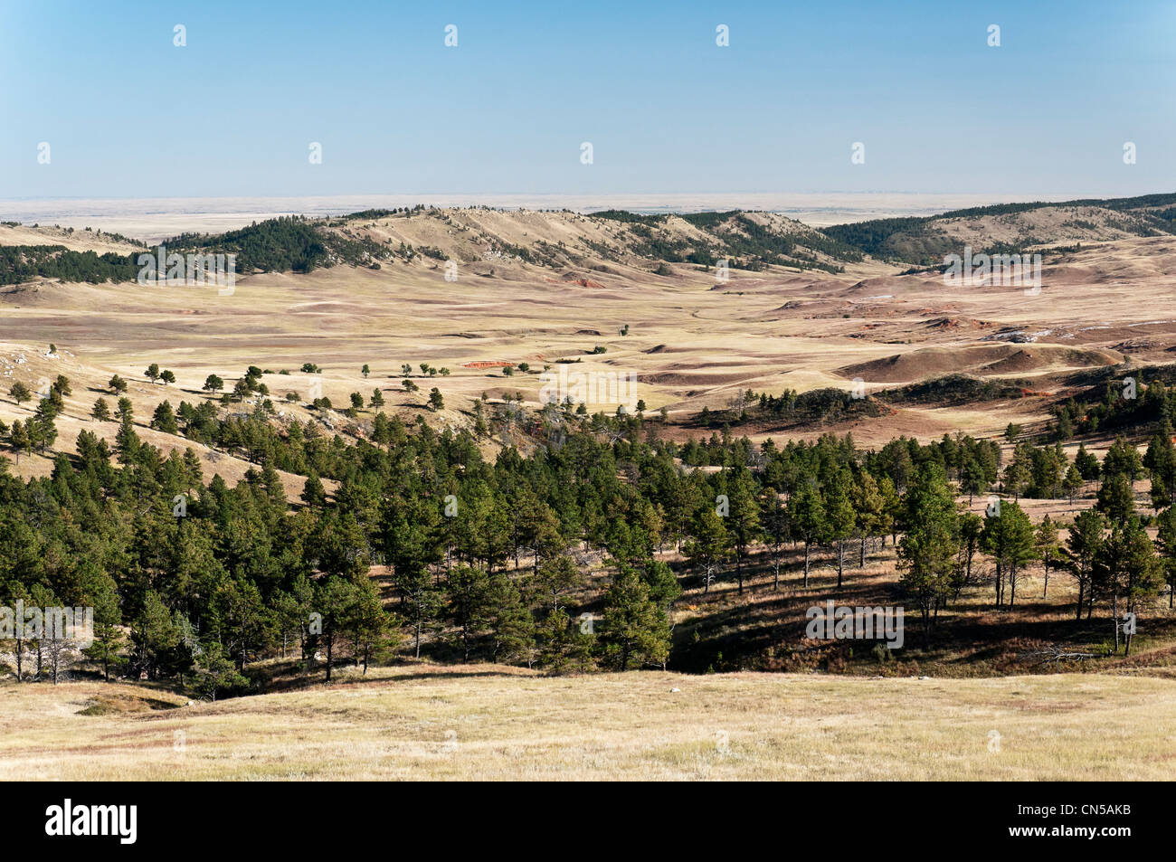 Prateria di rotolamento, Custer County Road 5, parco nazionale della Grotta del Vento, Black Hills, Custer, Dakota del Sud Foto Stock