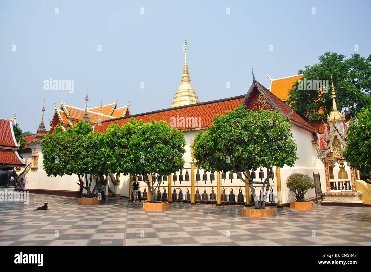 Terrazza al Wat Phrathat Doi Suthep tempio buddista, il Doi Suthep, Chiang Mai e Chiang Mai Provincia, Thailandia Foto Stock