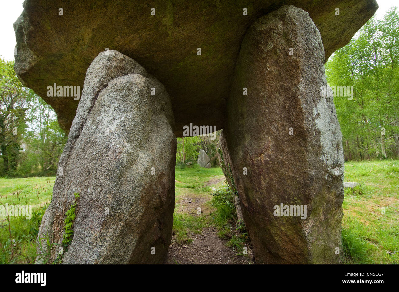 Francia, Finisterre, Pays Bigouden, Plobannalec, dolmen di Quelarn Foto Stock