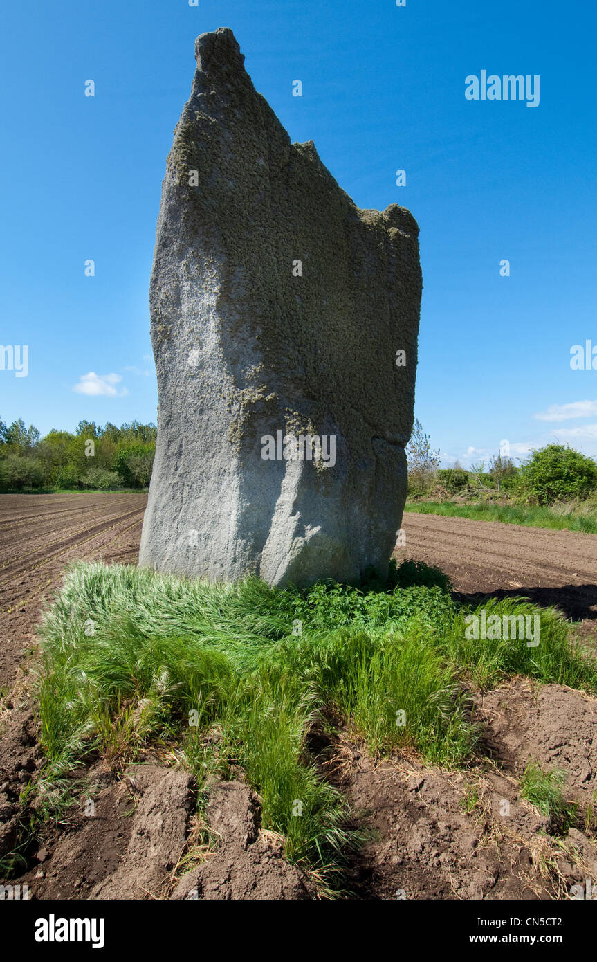 Francia, Finisterre, Pays Bigouden, Penmarc'h, Kerscaven menhir Foto Stock