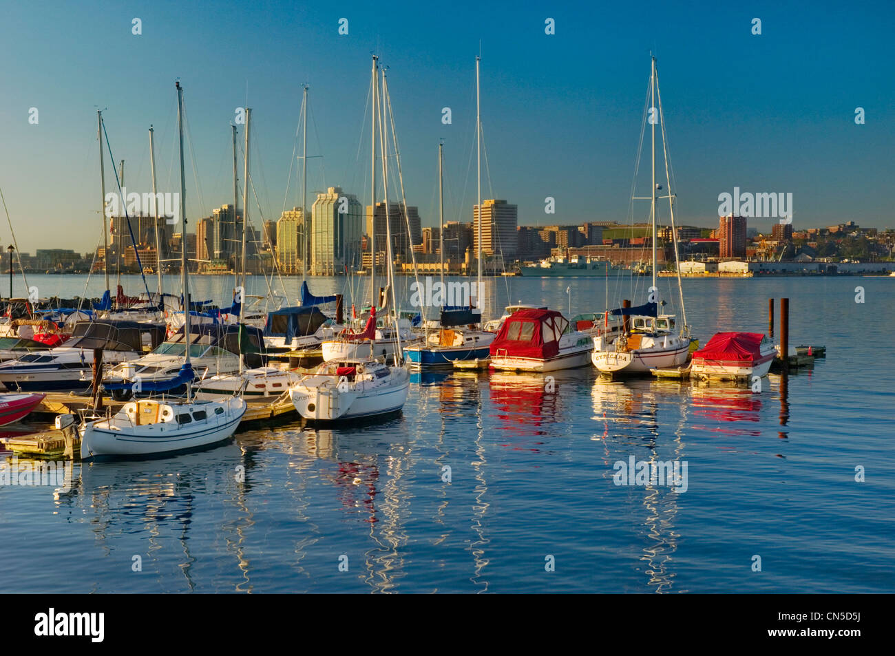 Marina di barche in mattina presto, Halifax, Nova Scotia Foto Stock