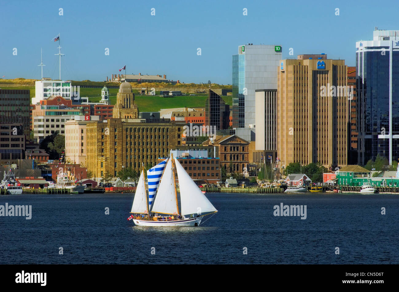 Barca a vela nel porto di Halifax, Nova Scotia. In Canada. Foto Stock