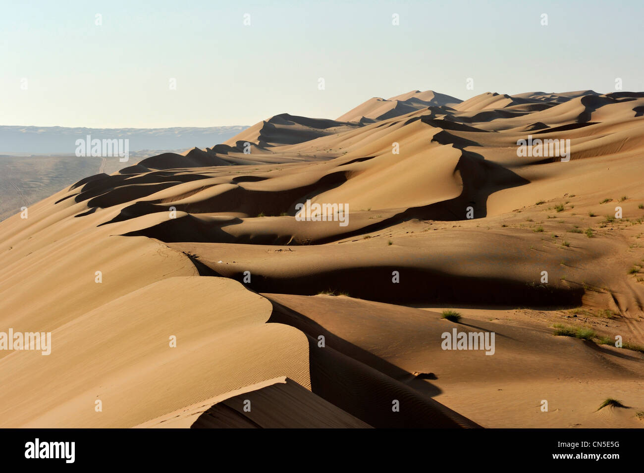 Il sultanato di Oman, Ash Sharqiyah Regione, deserto di Wahiba Sands Foto Stock