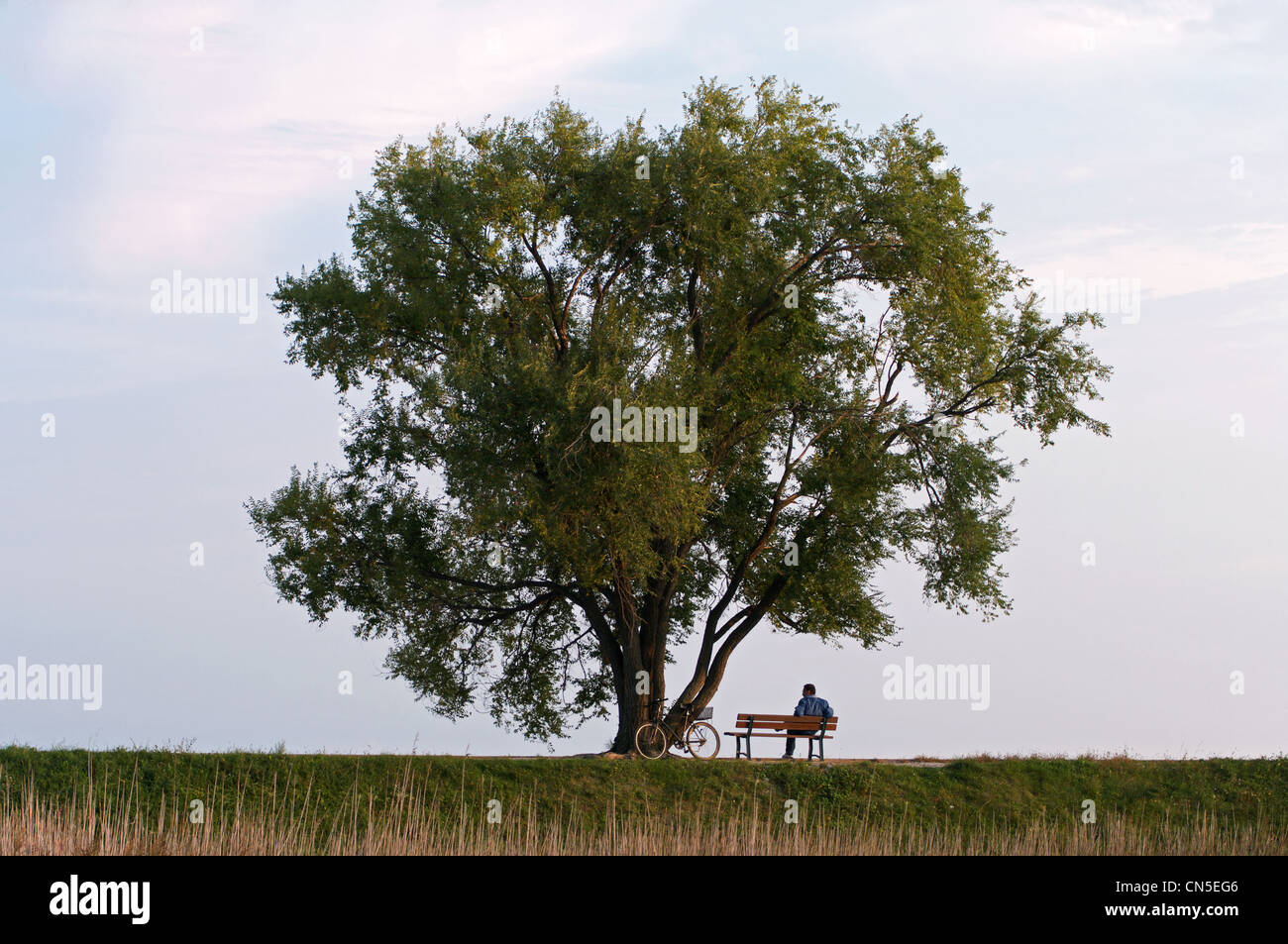 Ciclista riposante su una panchina solitaria all'ombra di un albero bushy Foto Stock