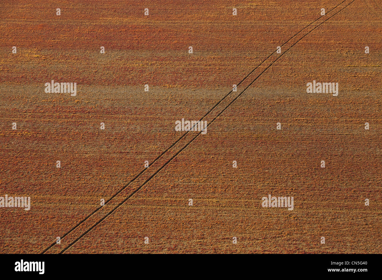 Francia, Calvados, Swiss Normandia, La Rue Gournay, campo rosso (vista aerea) Foto Stock
