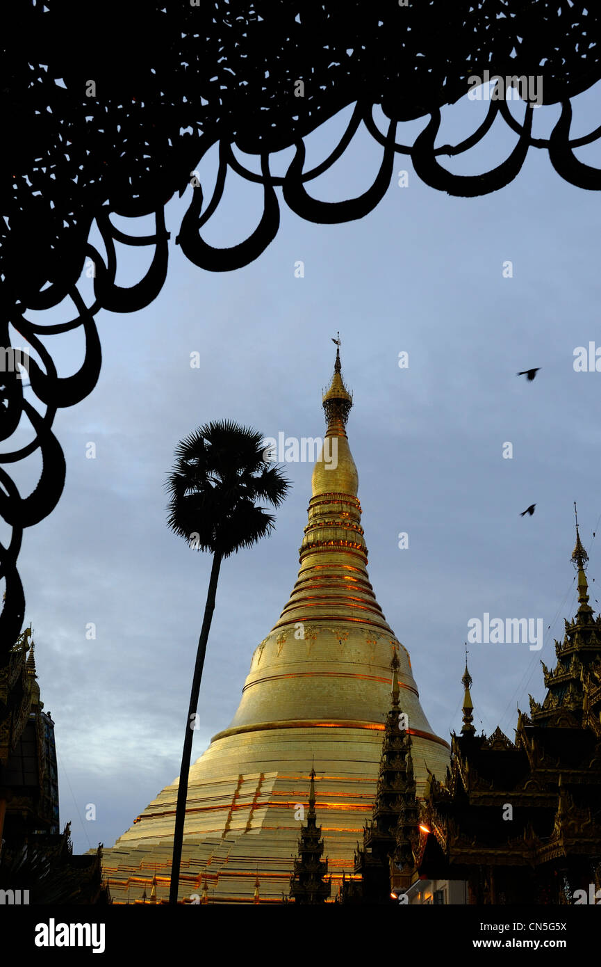 Myanmar (Birmania), Divisione di Yangon, Yangon, Shwedagon pagoda, datati tra il sesto e il decimo secolo Foto Stock