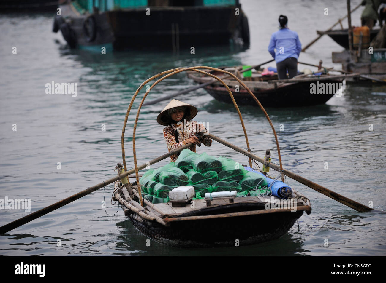 Il Vietnam, Quang Ninh Provincia di Halong Bay elencati come patrimonio mondiale dall' UNESCO, Cai Rong, barche nel porto Foto Stock