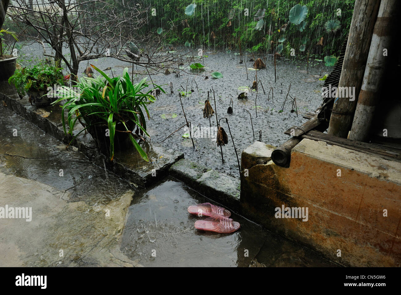 Il Vietnam, Ninh Binh Provincia, area soprannominato Inland Halong Bay, Hoa Lu, moonson pioggia Foto Stock