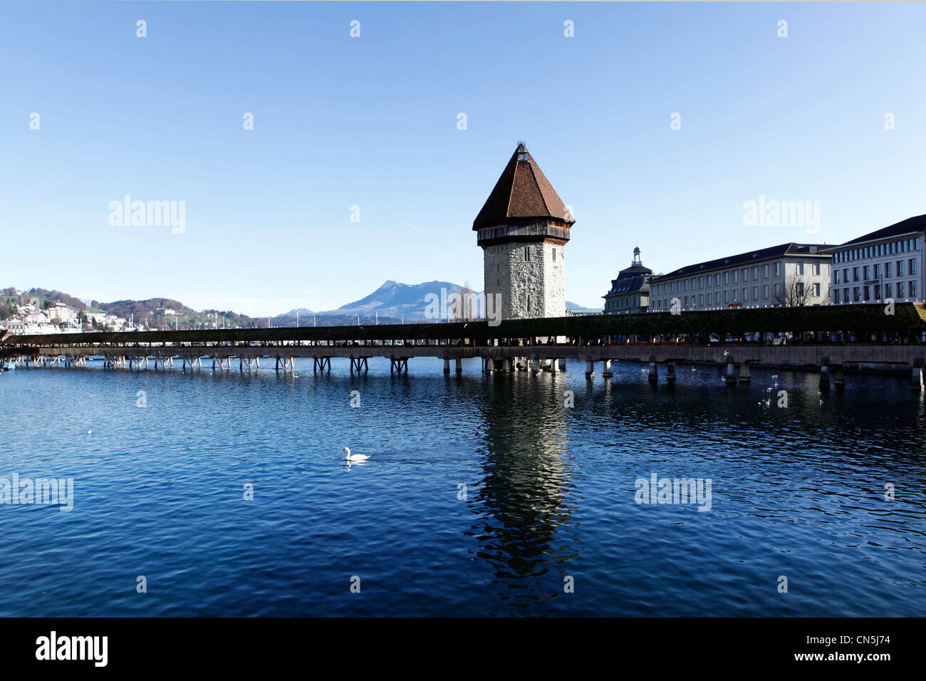 Kapellbruecke in Lucerna con Swan e montagna in background Foto Stock