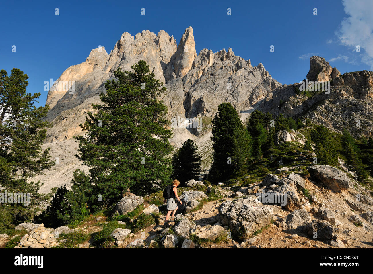 L'Italia, Trentino Alto Adige, provincia autonoma di Bolzano, Dolomiti, nei pressi del Passo Sella, hikking verso il Sassolungo Foto Stock