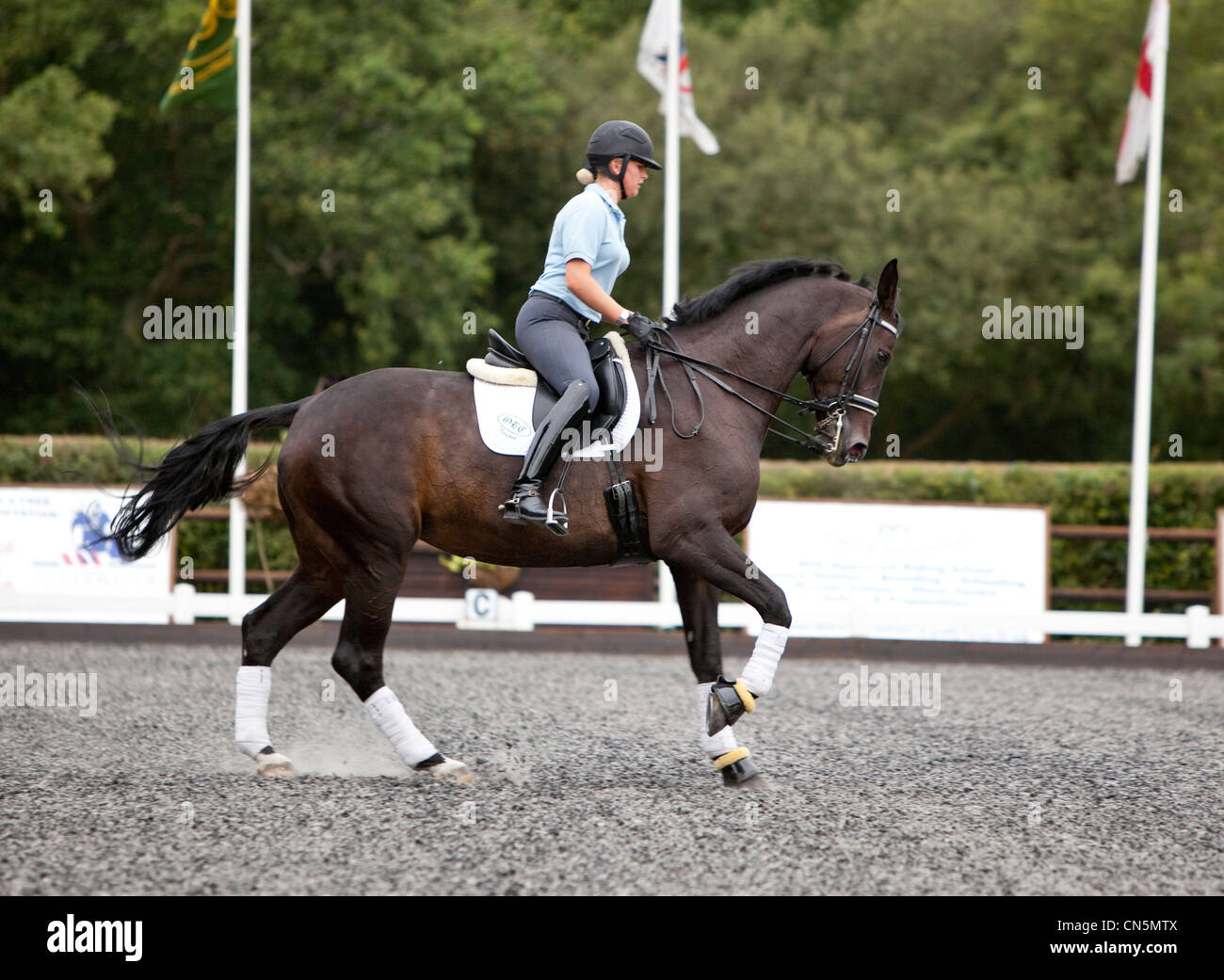 Dressage cavallo e cavaliere di eseguire alcuni movimenti, Londra, Inghilterra, Regno Unito. Foto Stock