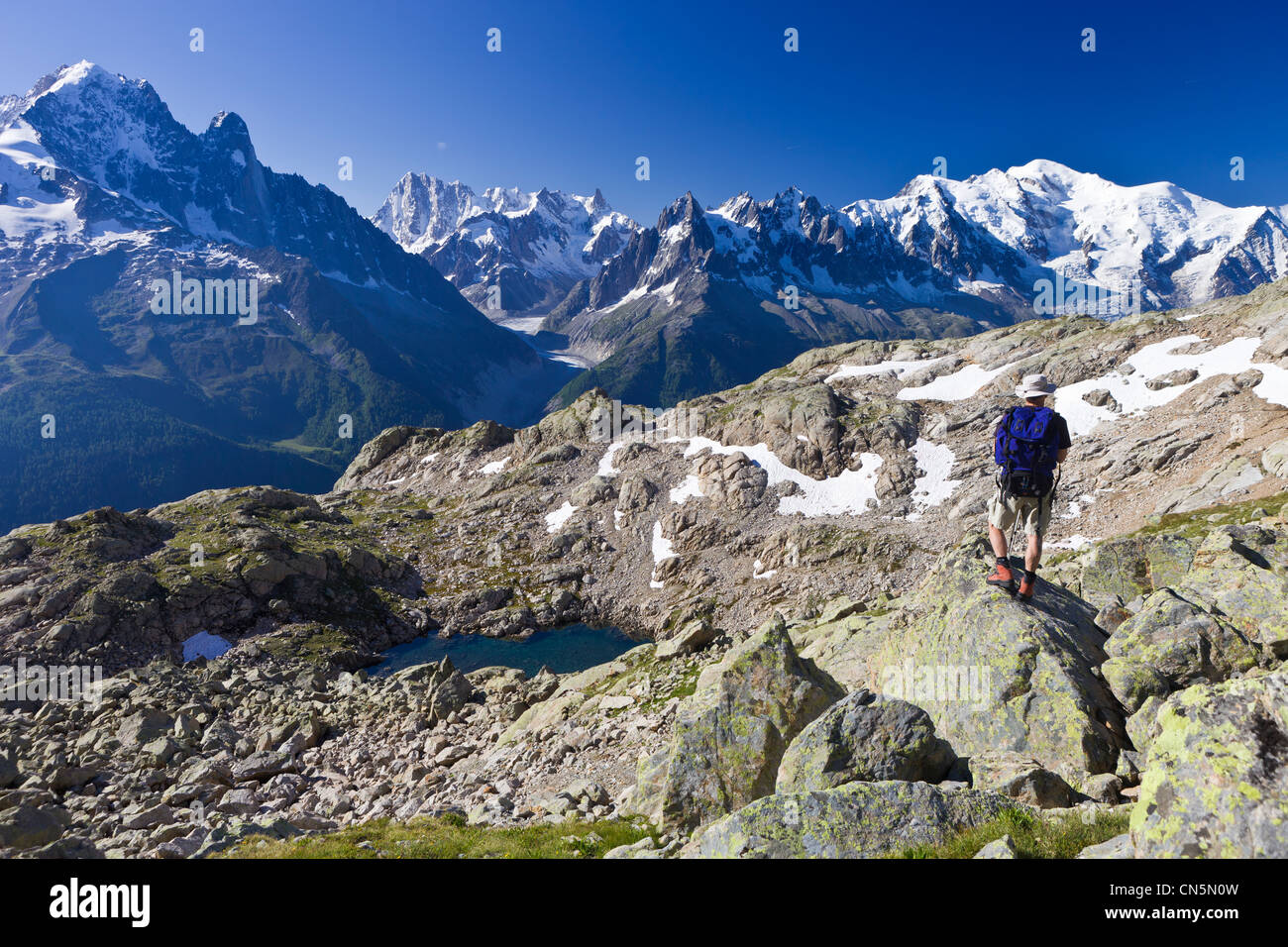 Francia, Haute Savoie, Chamonix Mont Blanc, Massif des Aiguilles Rouges, riserva Naturelle Nationale des Aiguilles Rouges Foto Stock