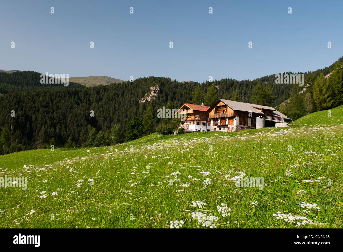 L'Italia, Trentino Alto Adige, provincia autonoma di Bolzano, Dolomiti, Val di Funes (Val di Funes), Santa Maddalena Foto Stock