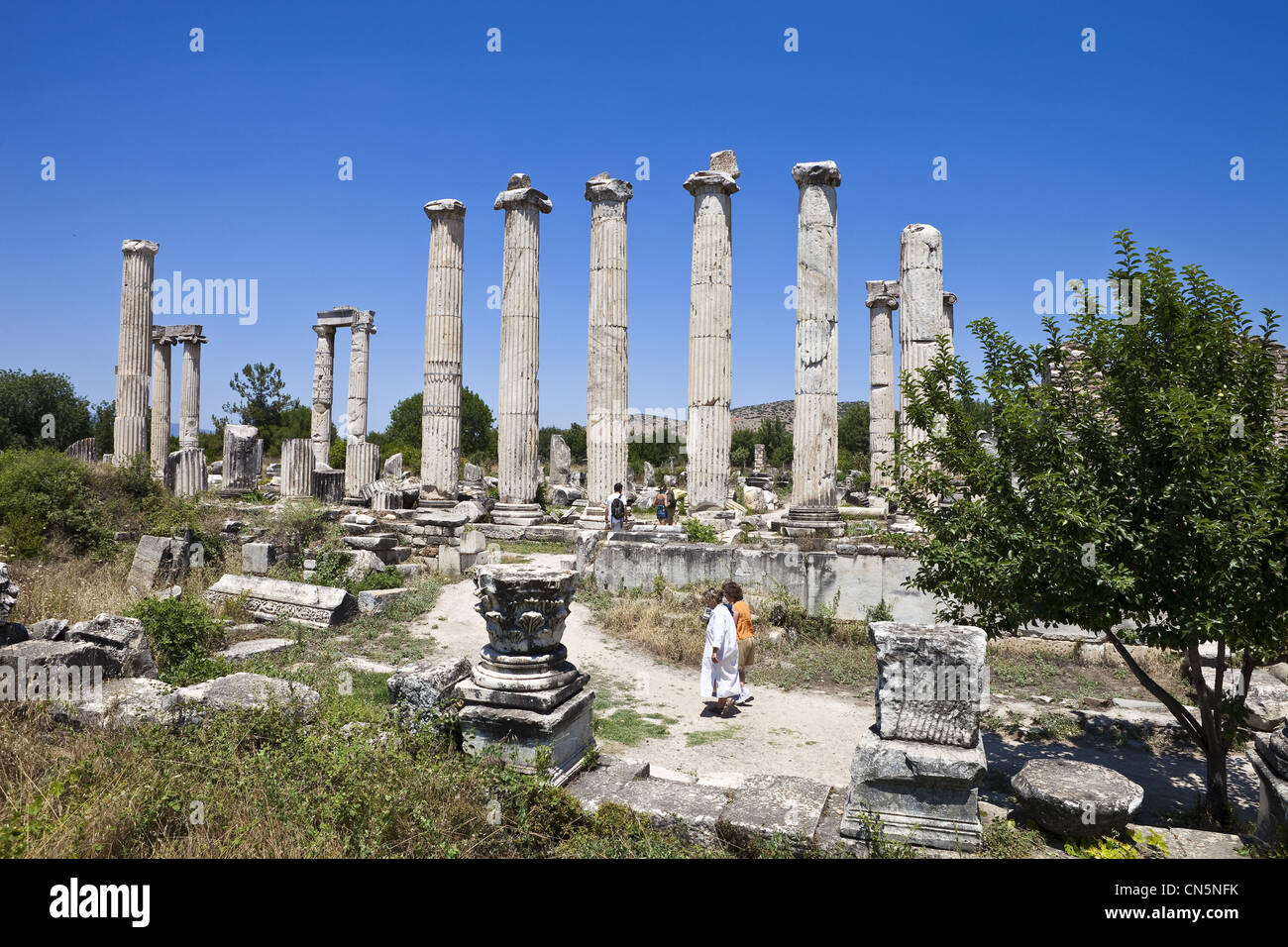 La Turchia, regione del Mar Egeo, Aphrodisias, antica città, il Tempio di Afrodite Foto Stock