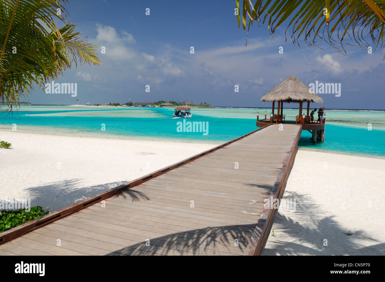 Maldive, South Male Atoll, Dhigu Island, Anantara Resort and Spa Hotel, pontoon in laguna e gli alberi di cocco Foto Stock
