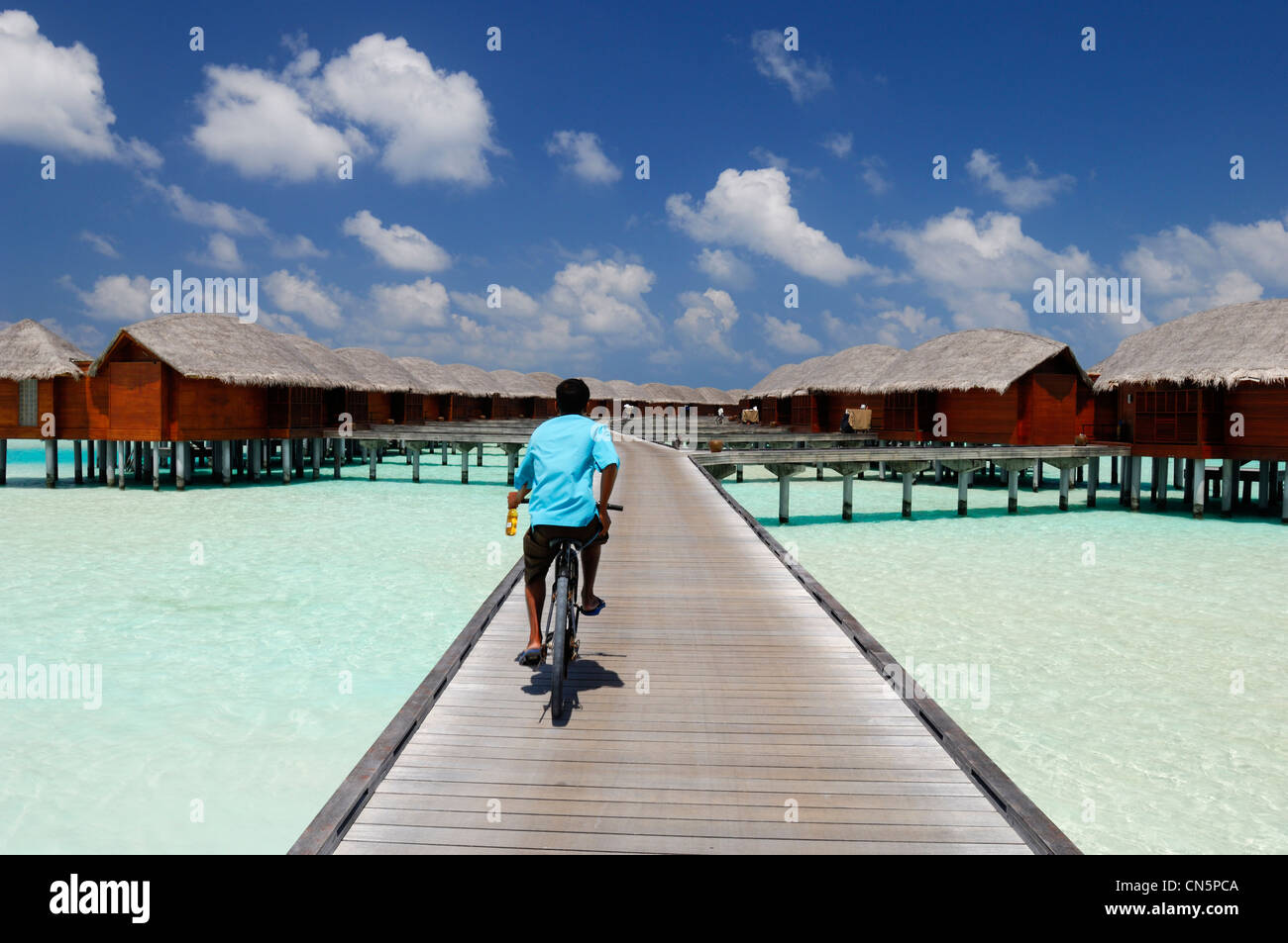 Maldive, South Male Atoll, Dhigu Island, Anantara Resort and Spa Hotel, bicicletta su un pontone andando al Bungalows in La Foto Stock