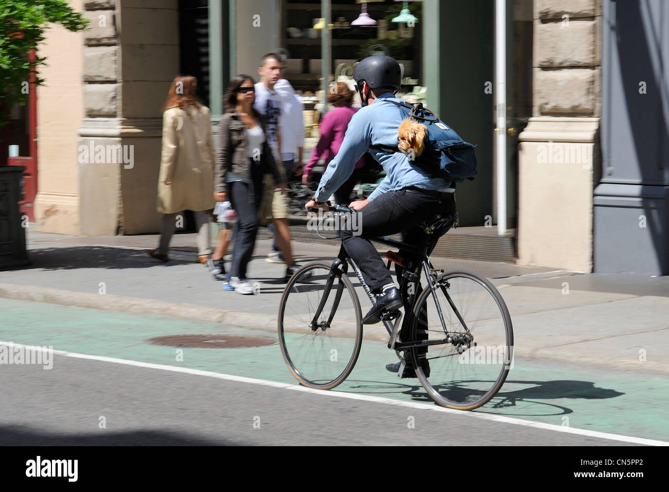 Stati Uniti, New York, Manhattan Soho, il ciclista che porta il suo cane su Prince Street Foto Stock