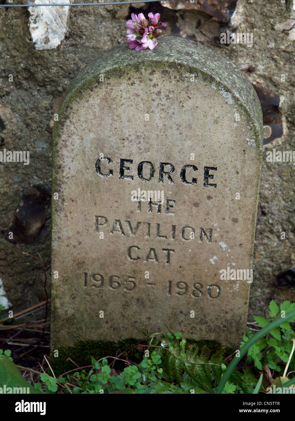 Una lapide per un gatto morto nei giardini di Preston Manor , Brighton Foto Stock