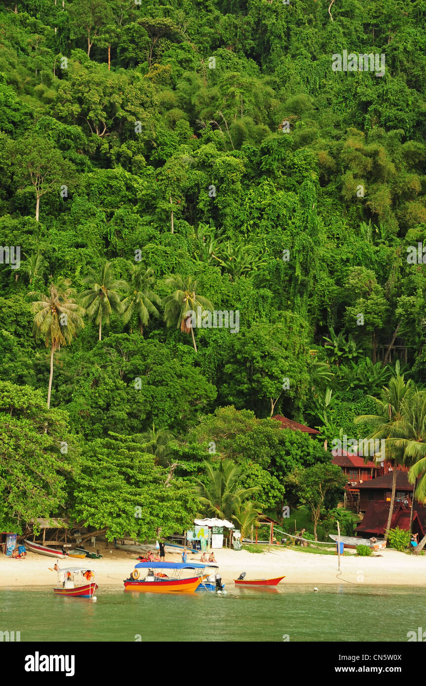 Malaysia, Stato di Terengganu, Perhentian Islands, Perhentian Kecil, hotel di legno nella foresta Foto Stock