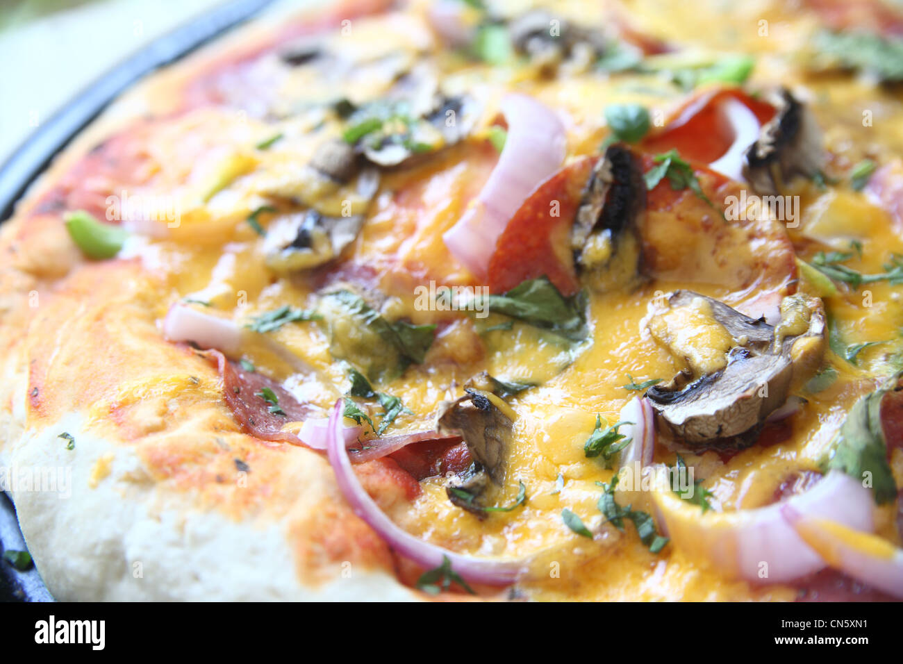 Vista la pizza con il formaggio, con i funghi, cipolle, salumi Foto Stock