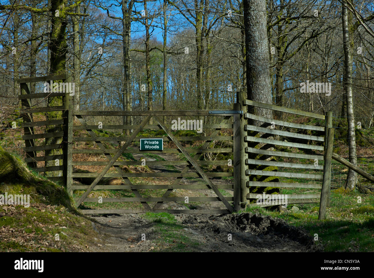 Segno per boschi privati sul cancello in Valle Winster, Parco Nazionale del Distretto dei Laghi, Cumbria, England Regno Unito Foto Stock