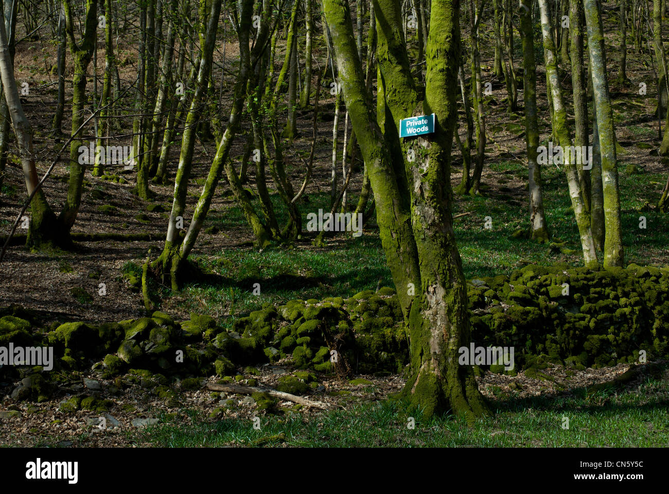 Segno per boschi privati Winster nella valle, Parco Nazionale del Distretto dei Laghi, Cumbria, England Regno Unito Foto Stock