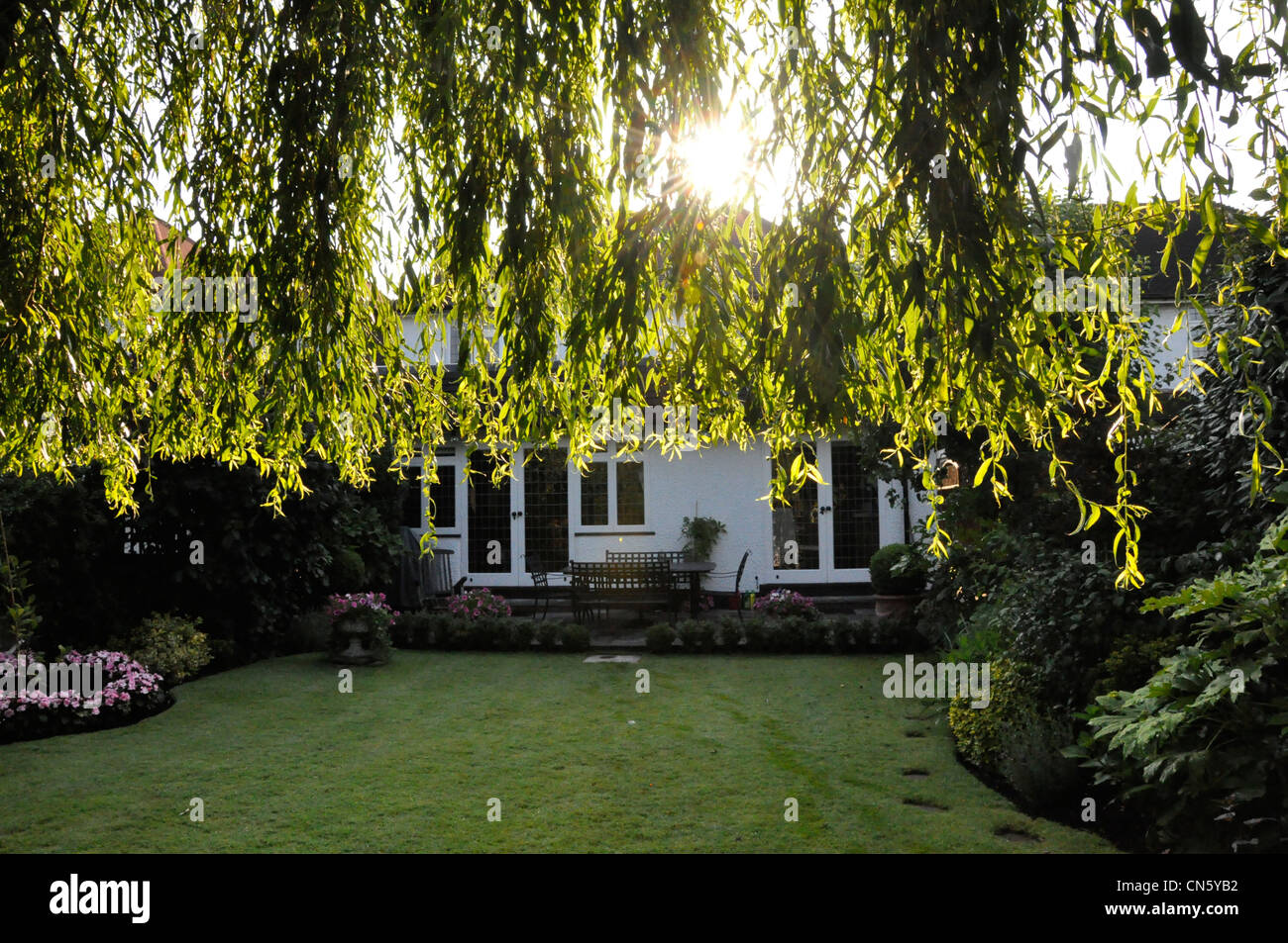 Sunshine attraverso willow garden e la scena della casa Foto Stock