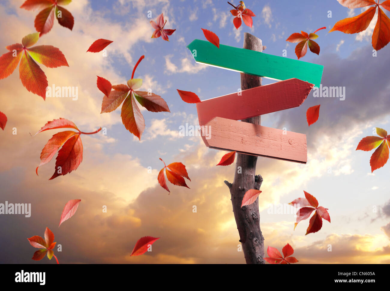 La caduta di foglie di autunno e di un cartello in legno per tipo Foto Stock