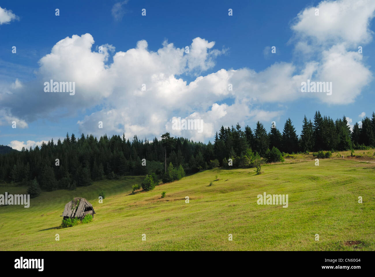 Campo verde in montagna e cielo blu con nuvole Foto Stock