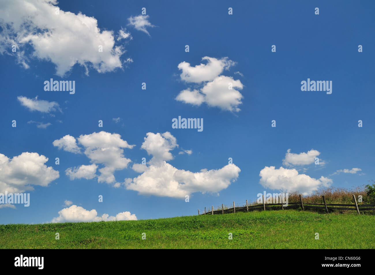 Campo verde con le nubi sul cielo blu Foto Stock