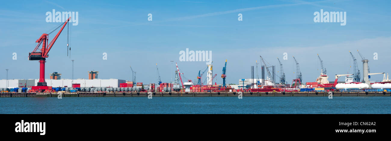 Un sacco di gru nel porto di Rotterdam Foto Stock