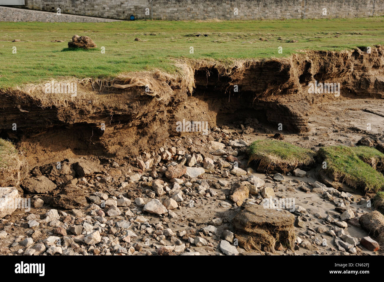 Erosione costiera dettaglio a Arnside Cumbria Foto Stock