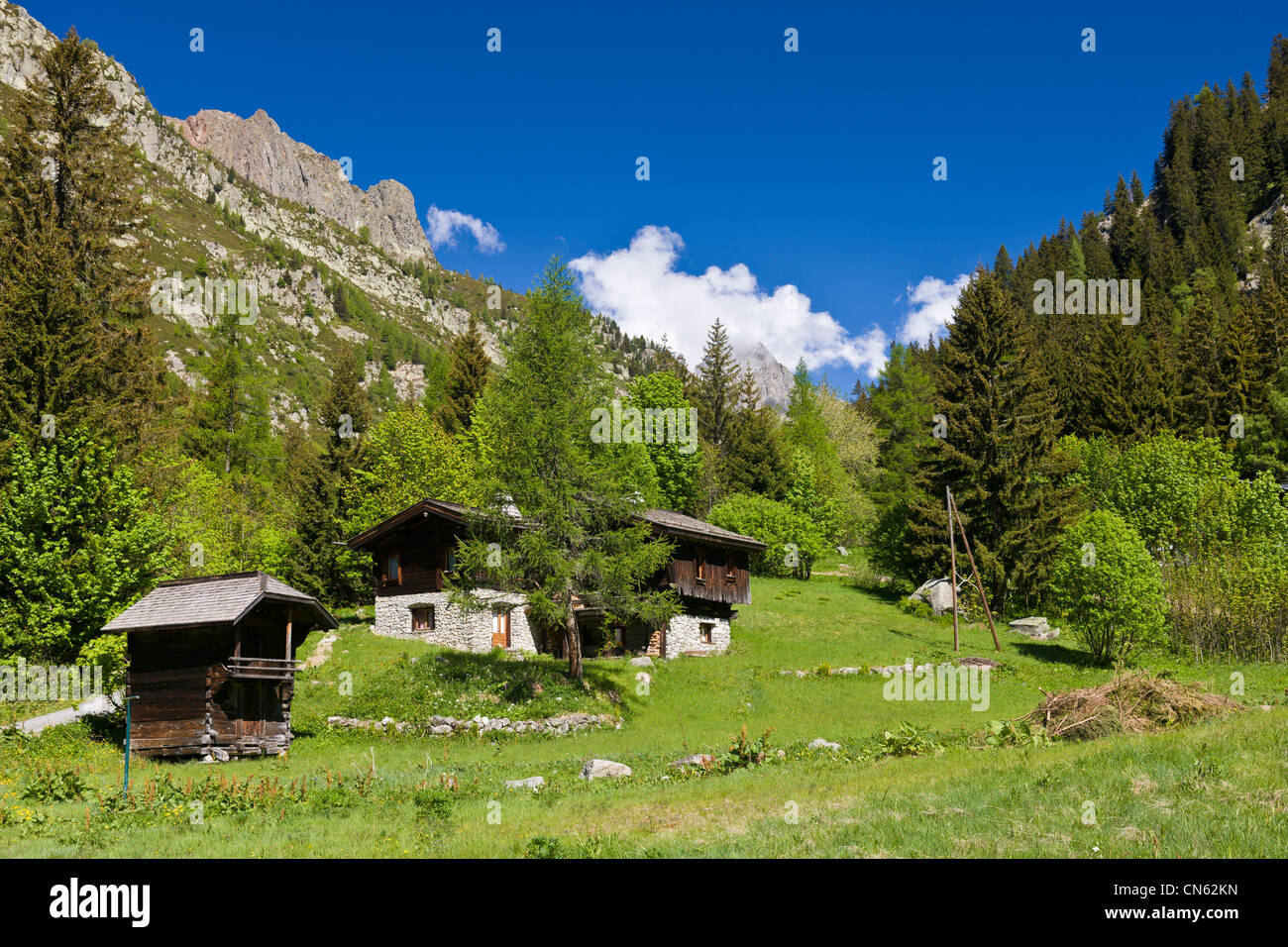 Francia, Haute Savoie, il Massiccio del Monte Bianco, argentiere, borgo Trelechamp Foto Stock