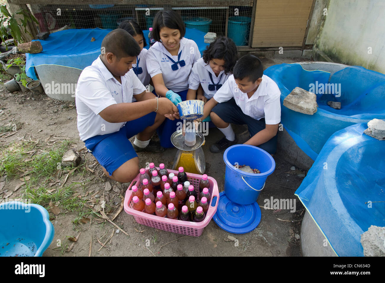 Alunni di una scuola elementare di Songkhla stanno rendendo liquido ferilizer da rifiuti vegetali. Della Thailandia Foto Stock