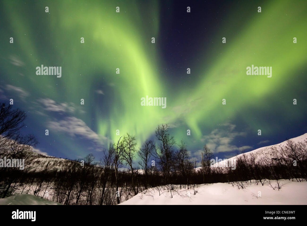 Aurora boreale o le luci del nord in movimento attraverso il cielo notturno entro il Circolo Polare Artico Troms Tromso Norvegia 2012 migliori Foto Stock