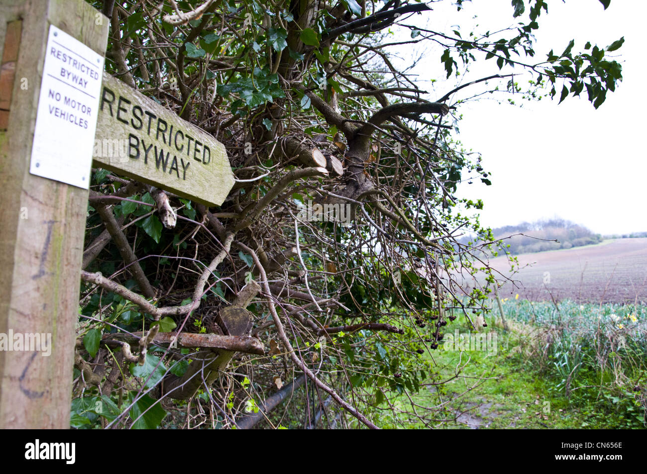 Limitato byway segno post Foto Stock